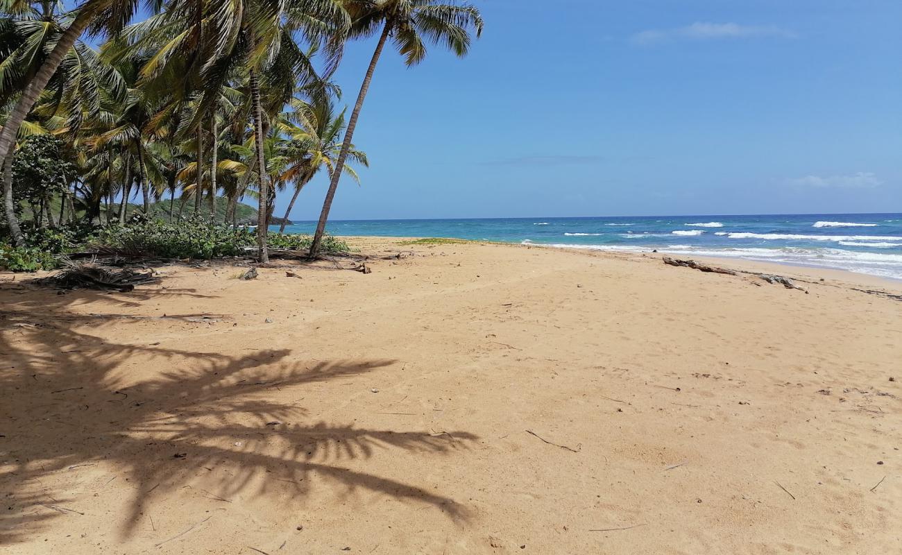 Foto af Playa Lanza del Norte med fin brunt sand overflade