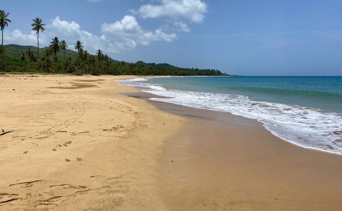 Foto af Playa la Cana med fin brunt sand overflade