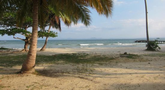 Playa la pascuala