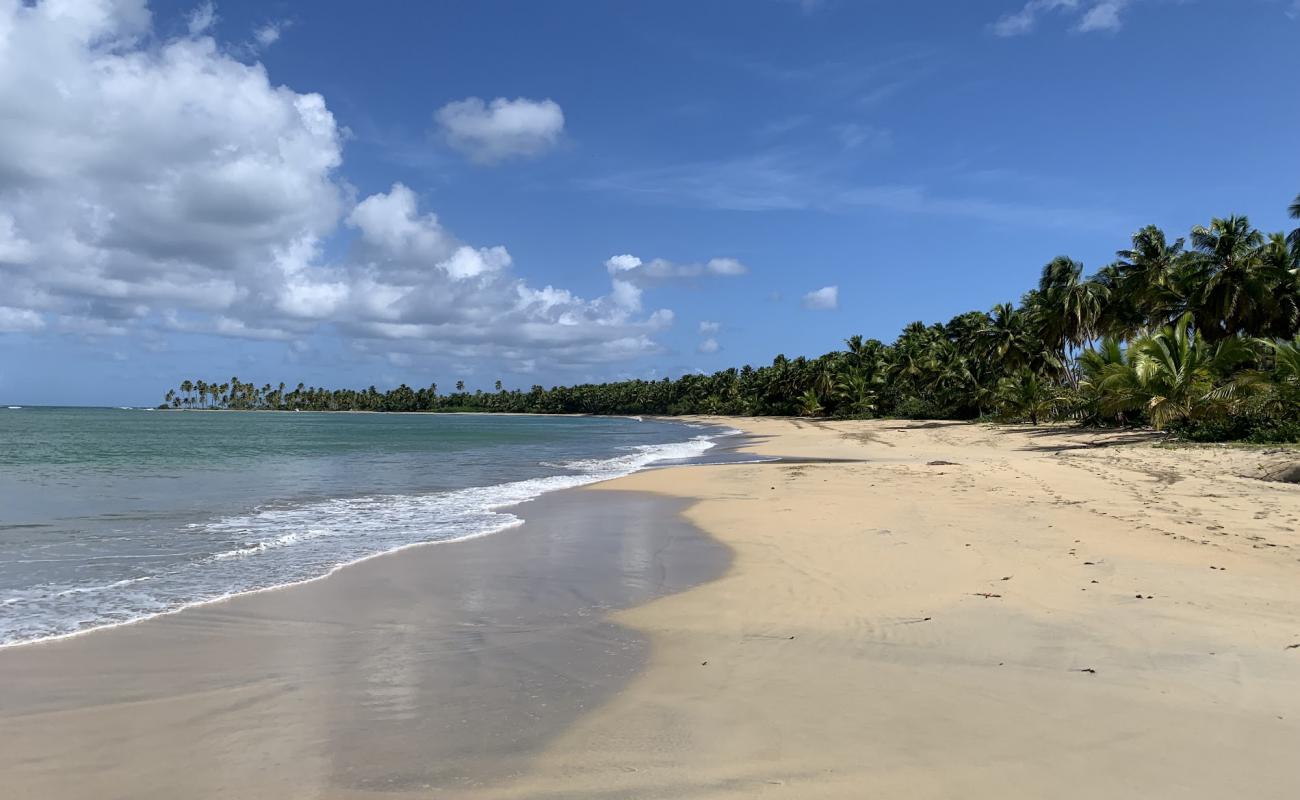 Foto af Playa Costa Esmeralda med lys fint sand overflade