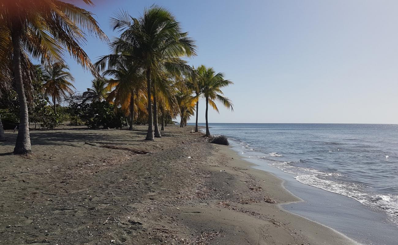 Foto af Playa Punta Salinas med grå sand overflade