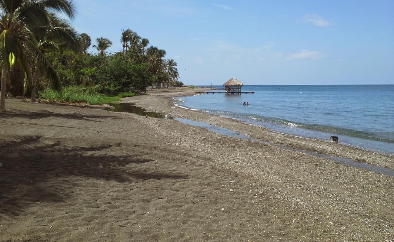 Foto af Palmar de Ocoa beach med grå sand overflade