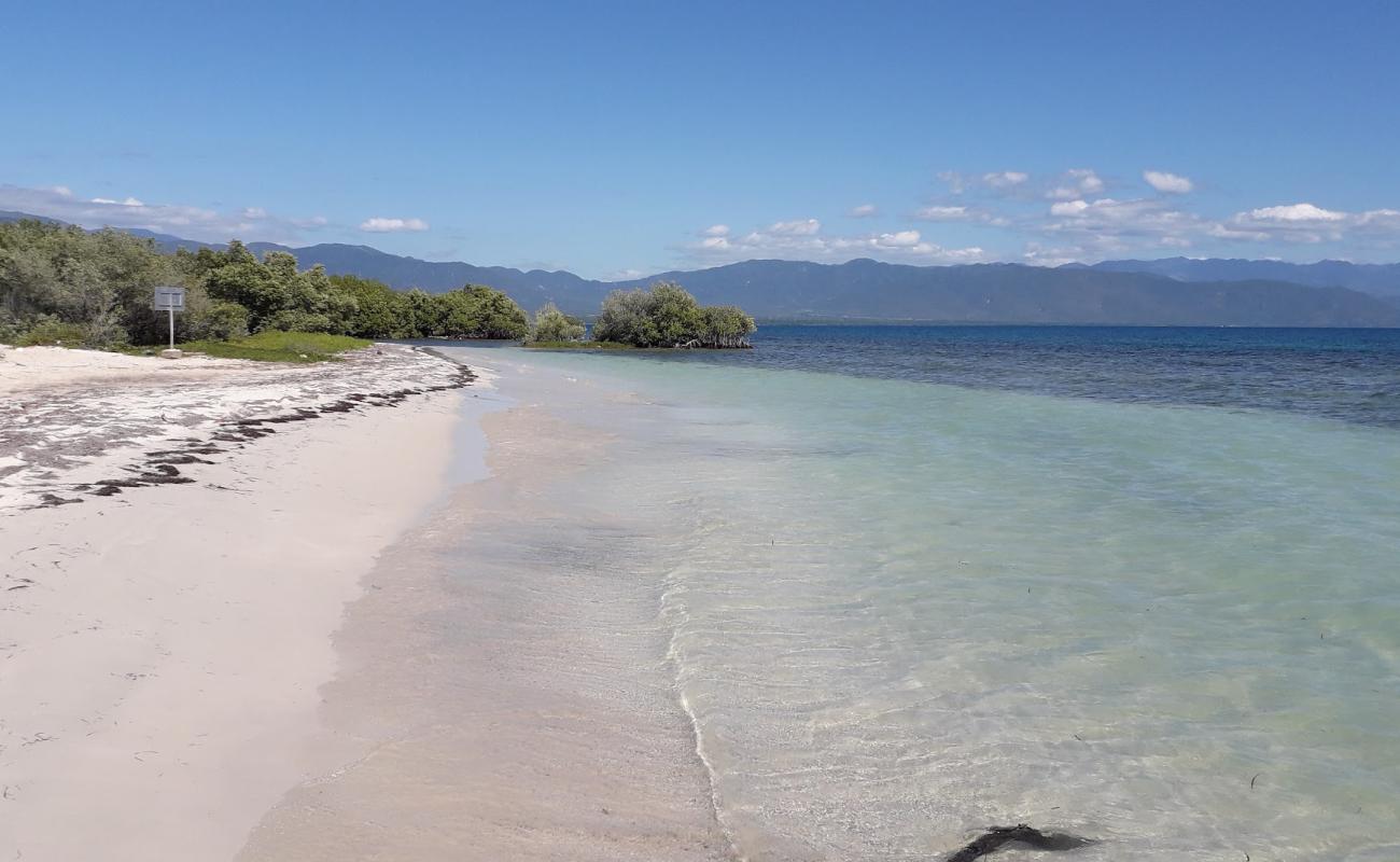 Foto af Uvita beach med lys fint sand overflade