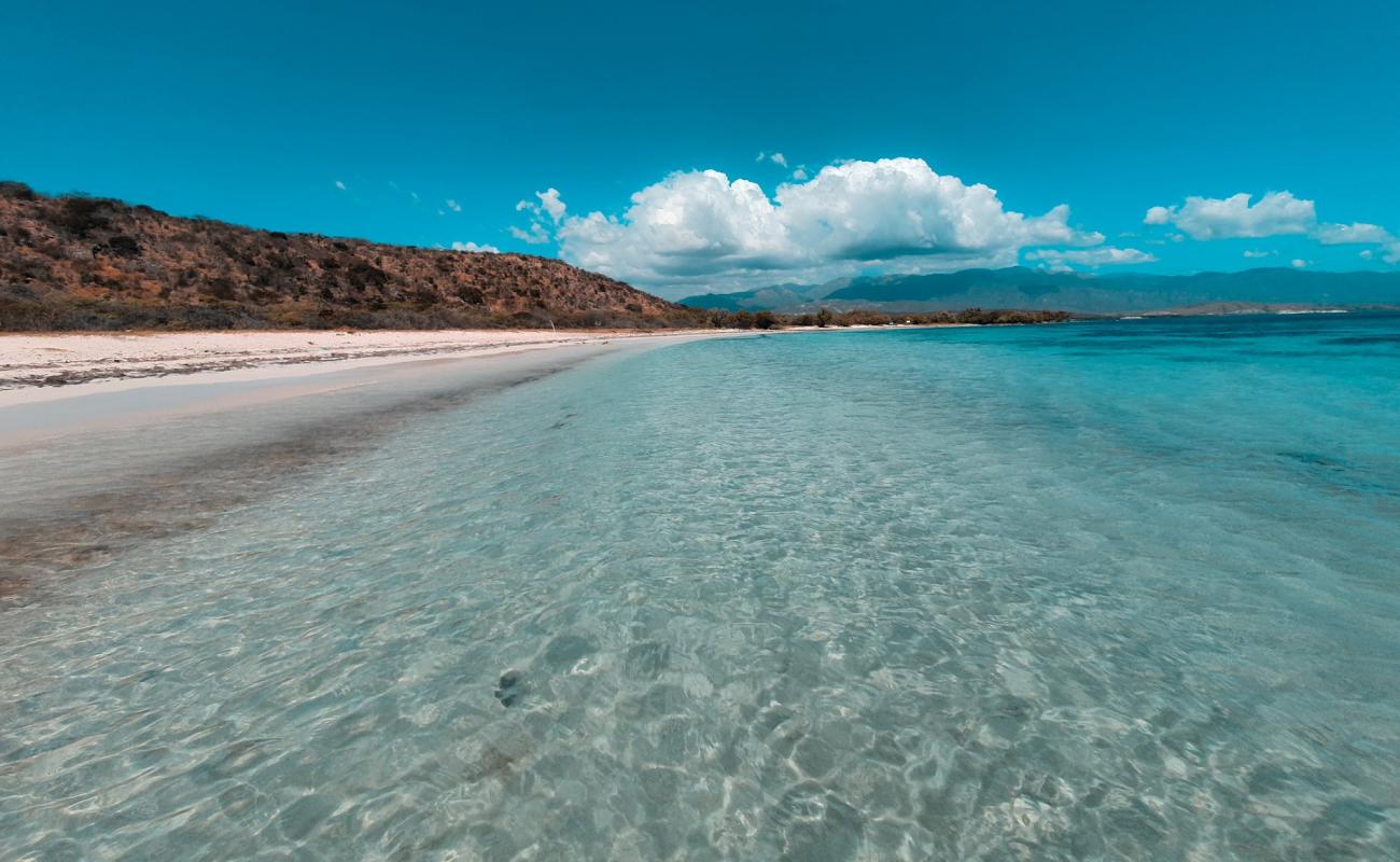 Foto af Blanca beach med lys fint sand overflade