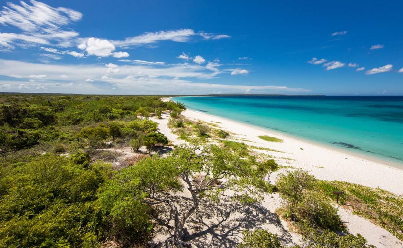 Foto af Eagles Bay beach med lys fint sand overflade