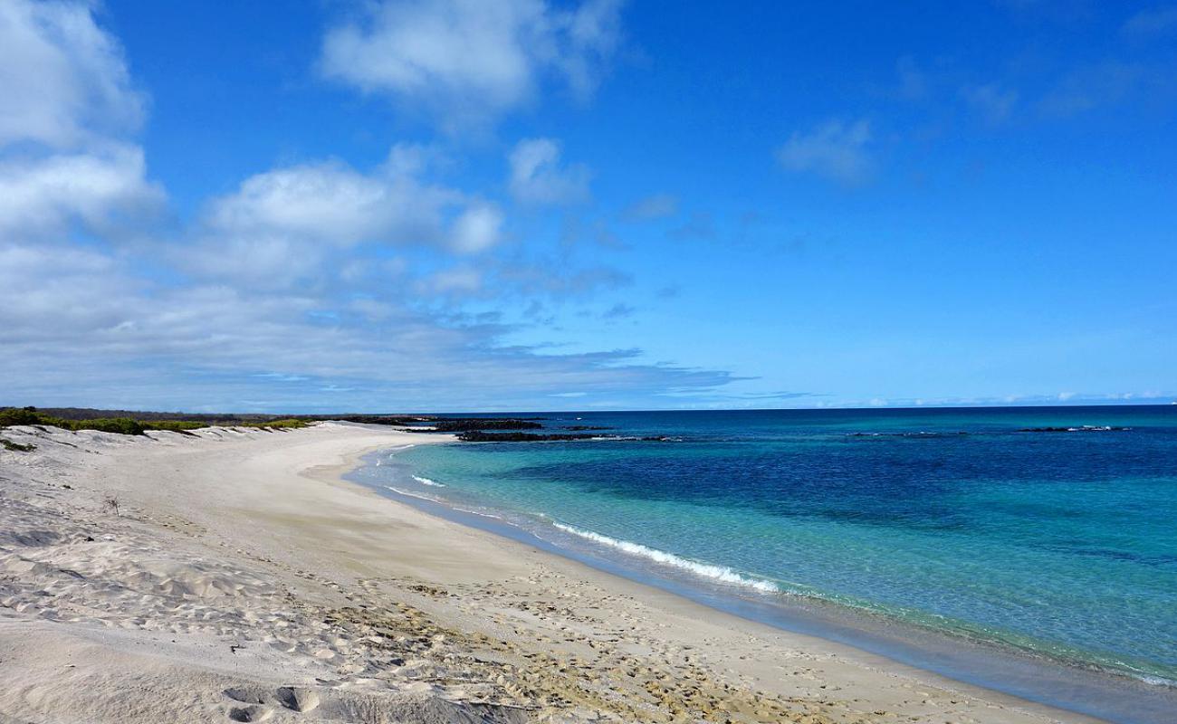 Foto af Playa La Galapaguera med lys sand overflade