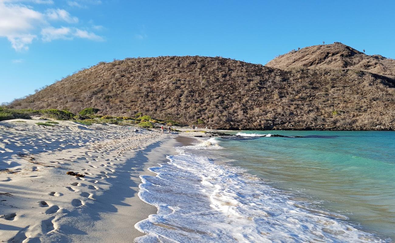 Foto af Punta Cormorant med lys sand overflade