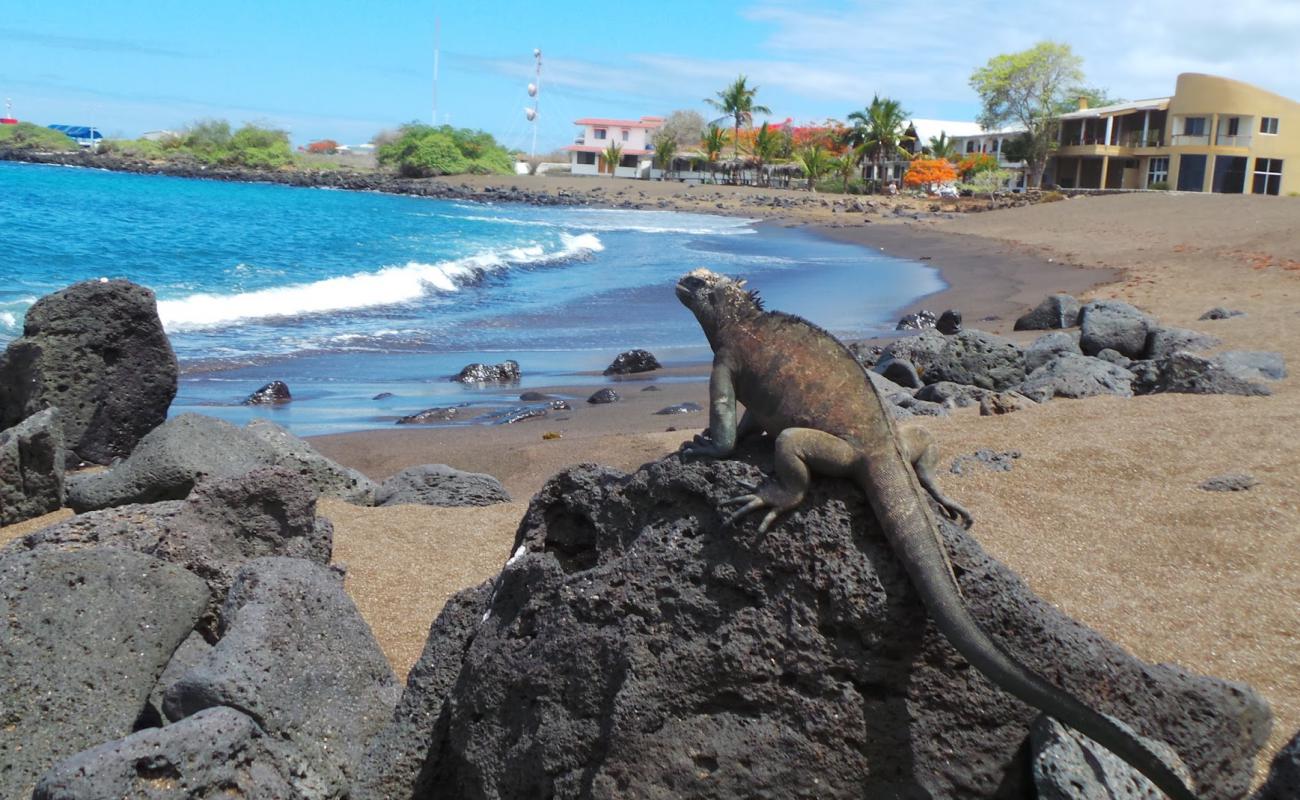 Foto af Playa Negra med sort sand overflade