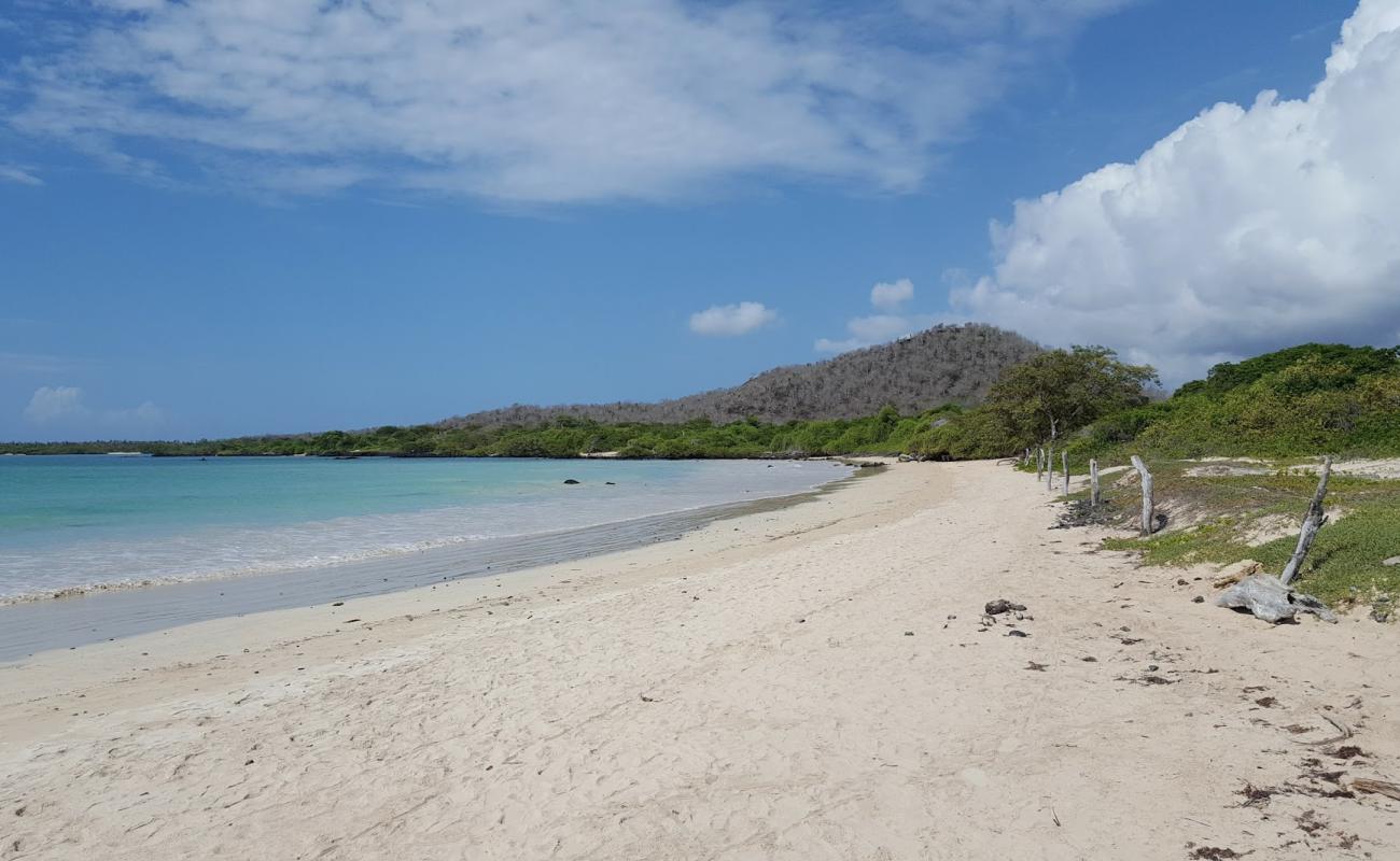 Foto af Playa El Garrapatero med lys sand overflade