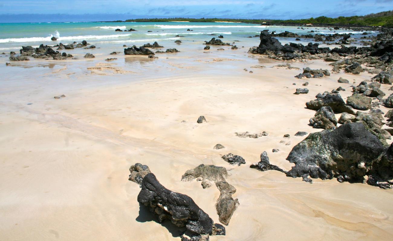 Foto af Garrapatero Beach med lys sand overflade