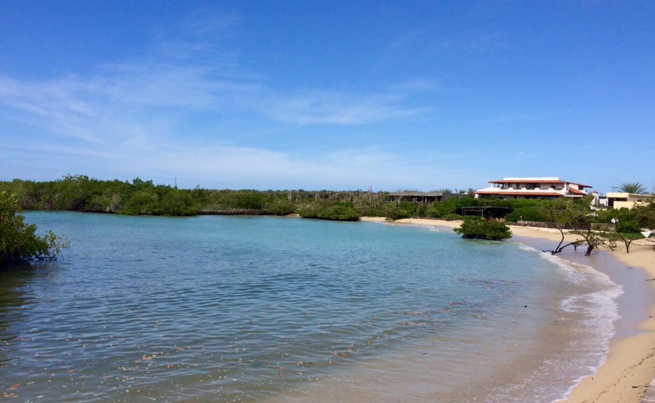 Foto af Playa los alemanes med lys sand overflade