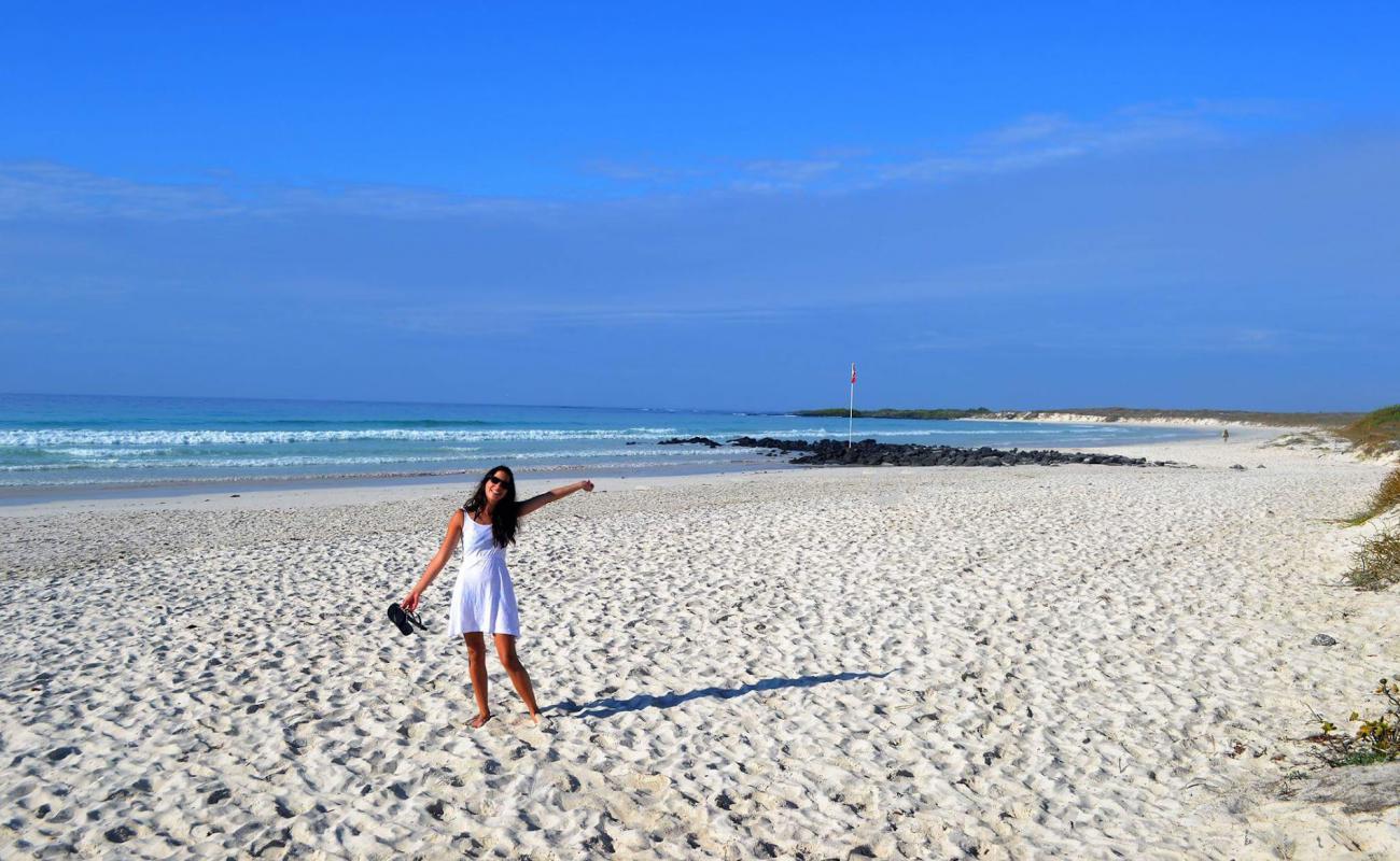 Foto af Tortuga Bay Galapagos med hvidt fint sand overflade