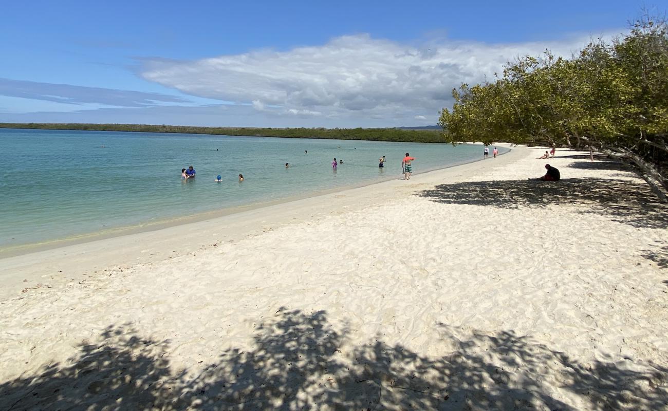 Foto af Tortuga Laguna Beach med hvidt fint sand overflade