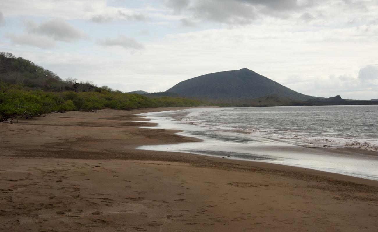 Foto af Espumilla Beach med lys sand overflade