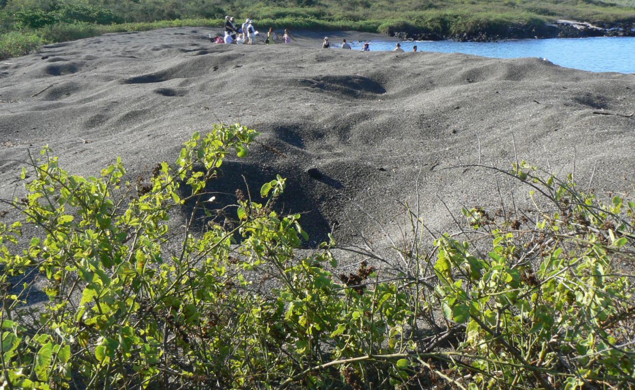 Foto af Urbina Bay med hvidt sand og klipper overflade