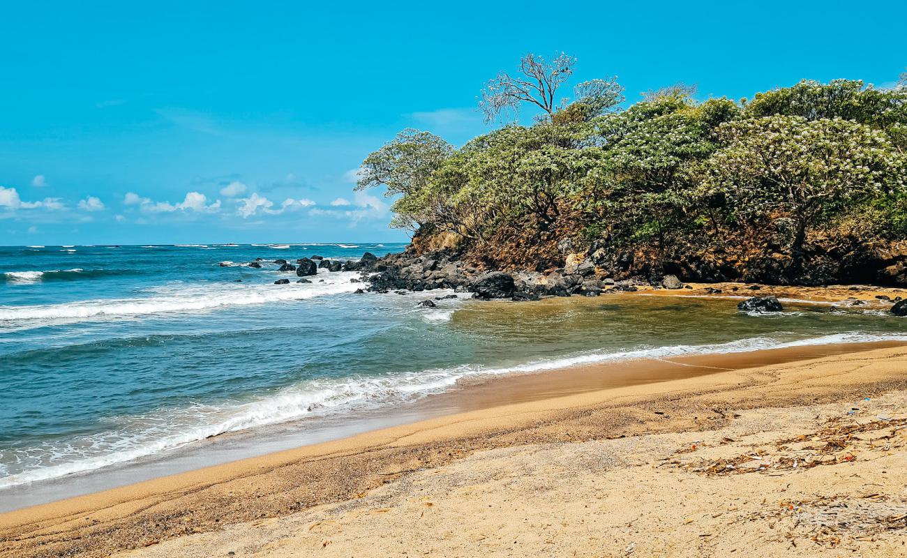 Foto af El Flor Beach med lyst sand & sten overflade