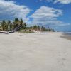 Leaves beach