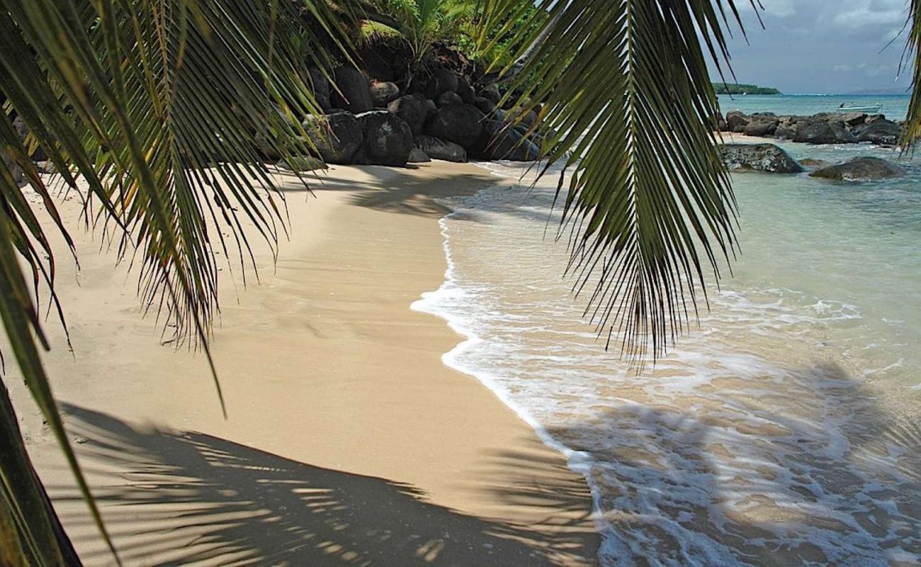 Foto af Taveuni Beach med lys fint sand overflade