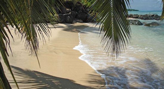 Taveuni Beach