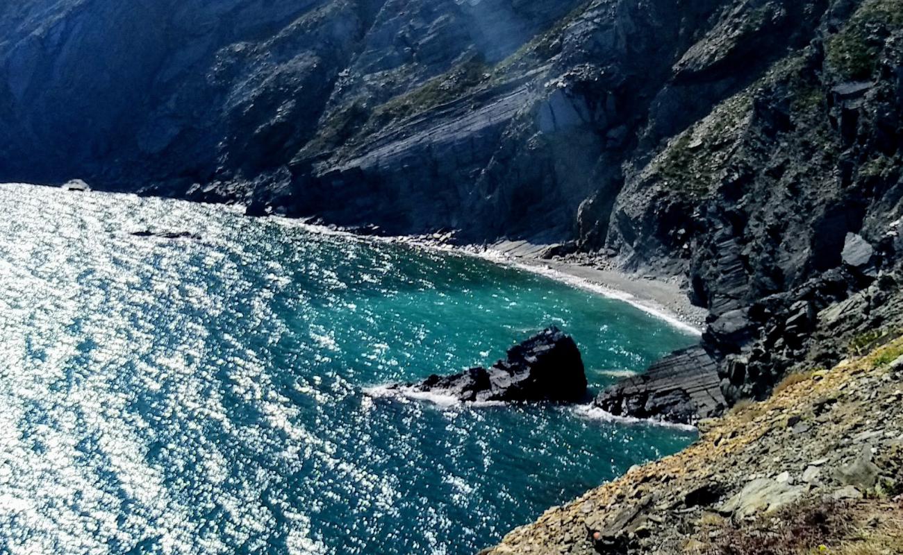 Foto af Plage du Minerai med grå sten overflade