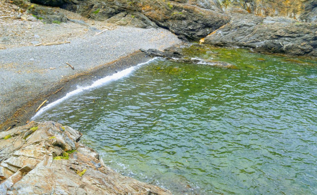 Foto af Cap Canadel beach med sten overflade