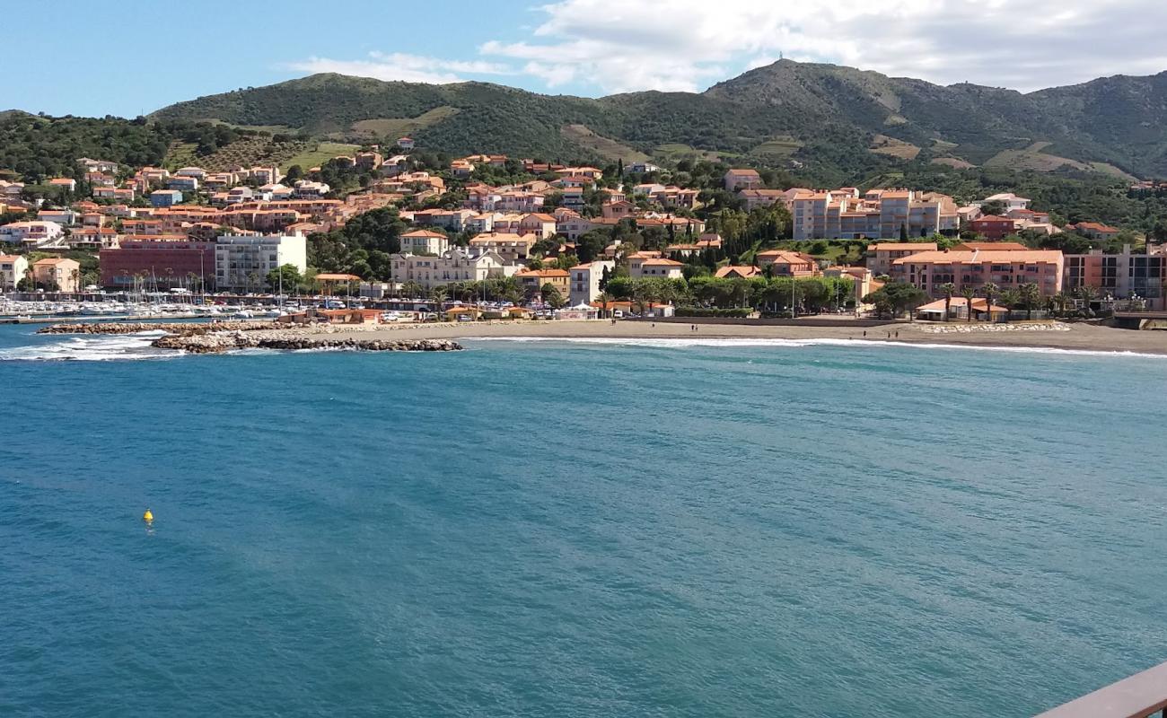 Foto af Banyuls sur Mer beach med grå sten overflade