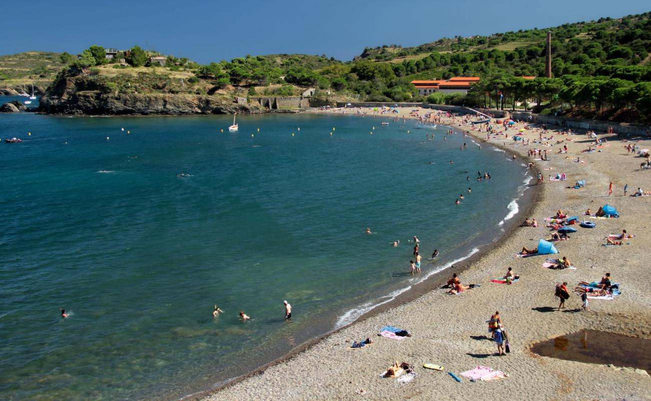 Foto af Paulilles beach med let fin sten overflade