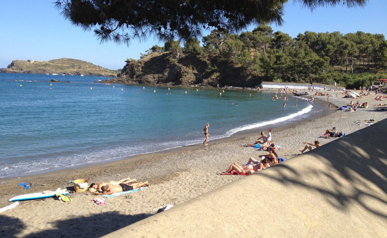 Foto af Bernardi Strand med let fin sten overflade