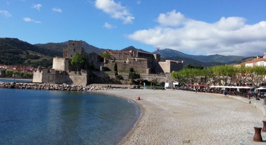 Collioure Strand