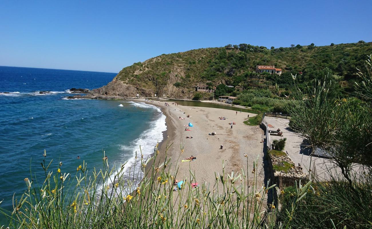 Foto af Plage de l'Ouille med let fin sten overflade