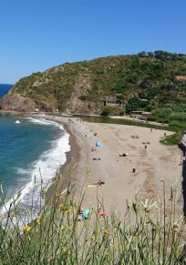 Collioure