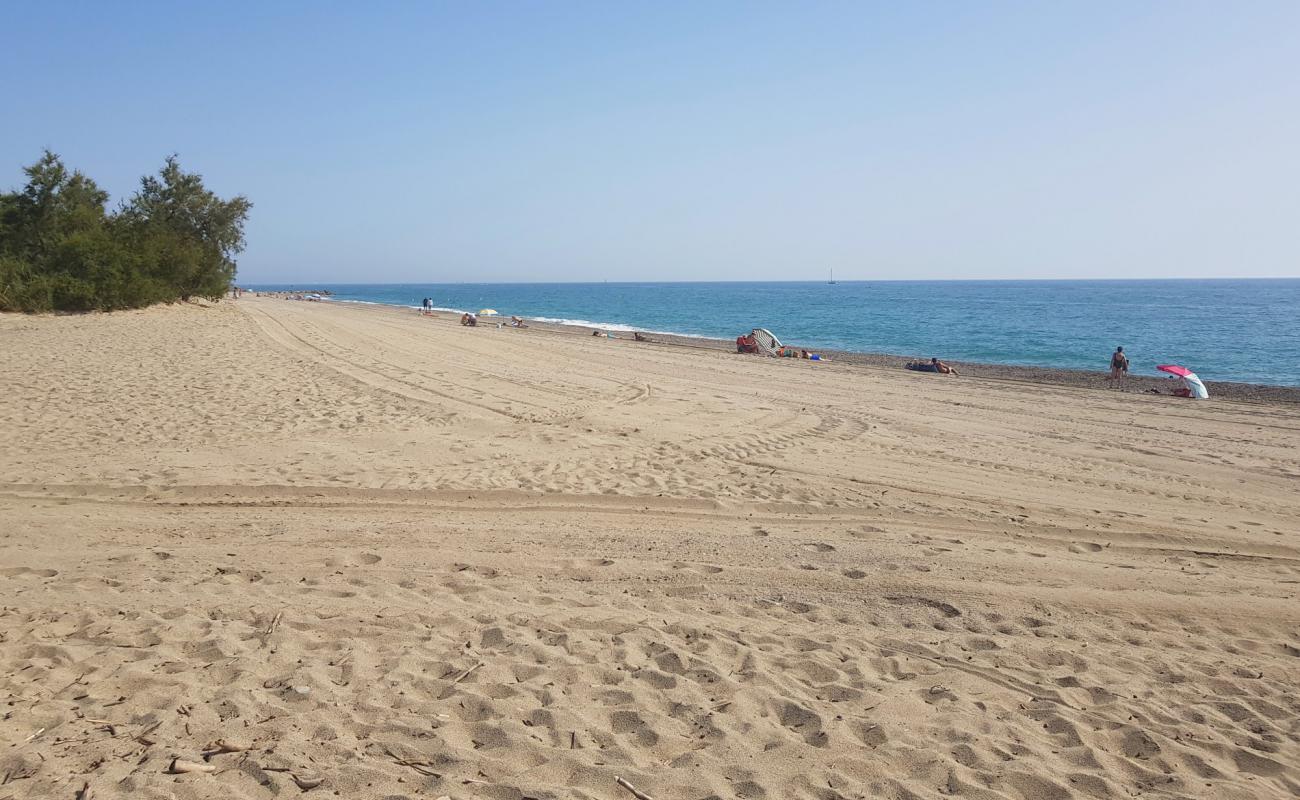 Foto af Saint Cyprien Strand med lys fint sand overflade