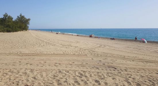 Saint Cyprien Strand