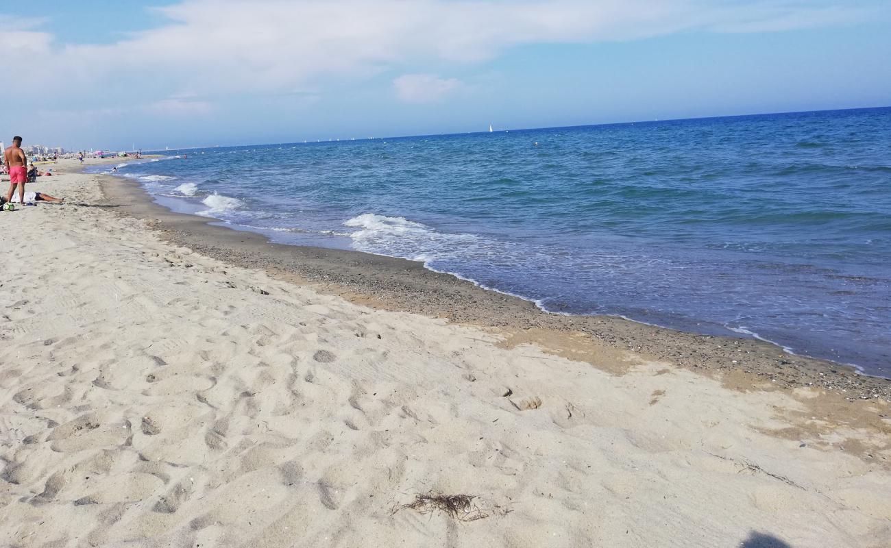 Foto af Canet in Roussillon med lys fint sand overflade