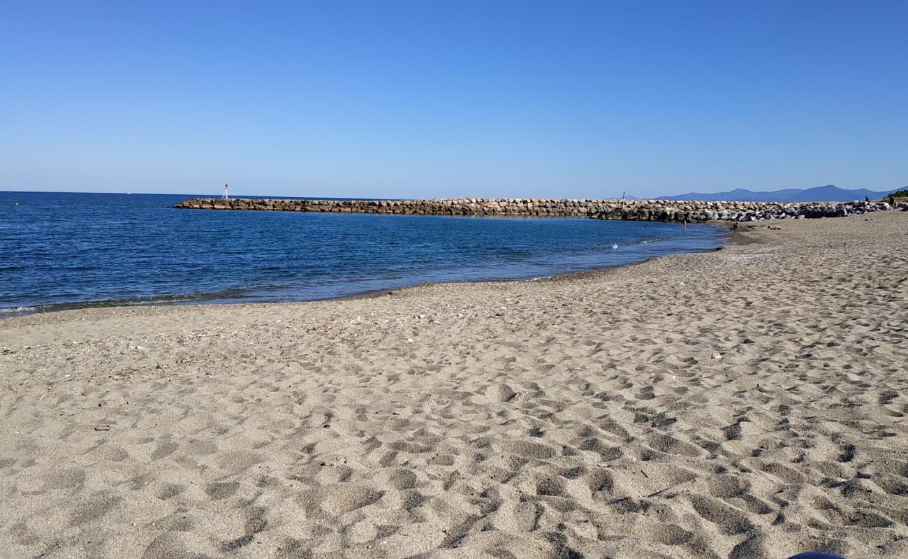 Foto af St. Marie de la Mer beach med lys sand overflade