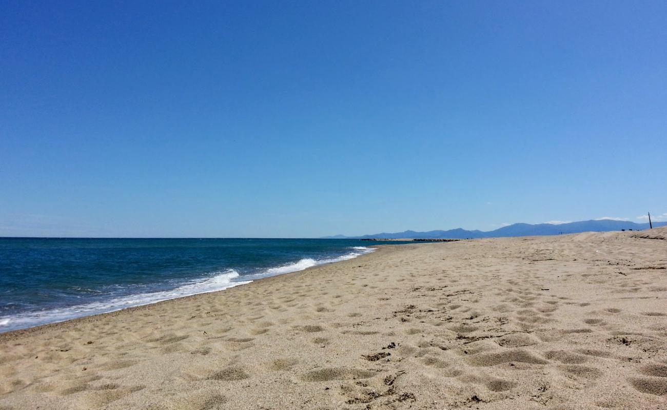 Foto af Torreilles beach med lys fint sand overflade