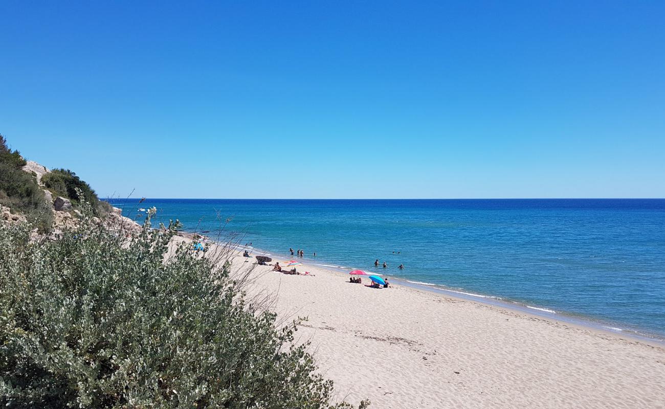 Foto af Leucate Strand med lys fint sand overflade