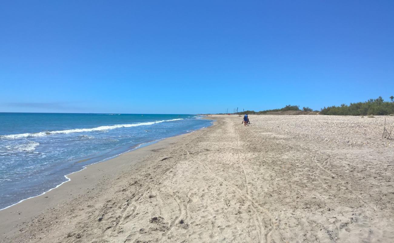 Foto af Plage des Aresquiers med lys sand overflade