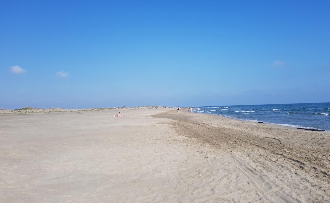 Foto af Espiguette Strand med lys fint sand overflade