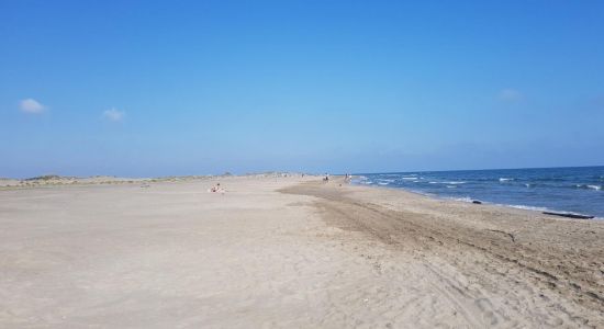 Espiguette Strand