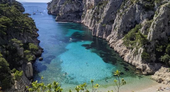 Stranden Calanque d'En-Vau