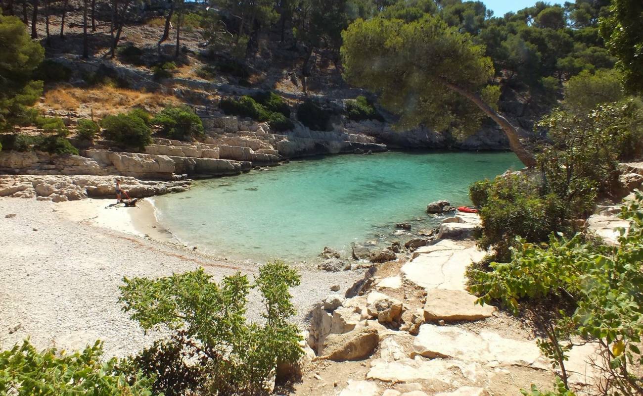 Foto af Calanque de Port Pin med let sten overflade