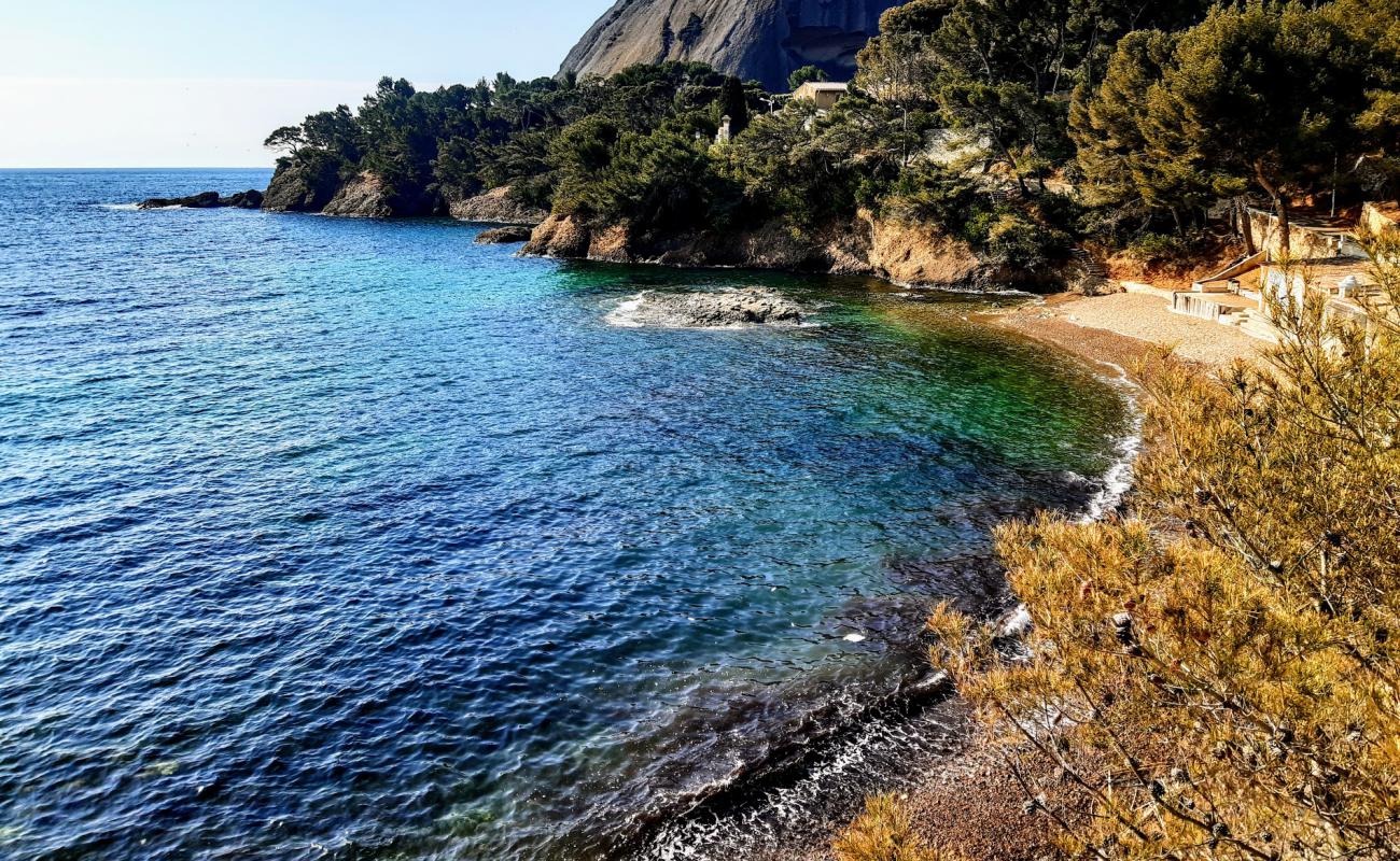 Foto af Calanque de Mugel med brun sten overflade