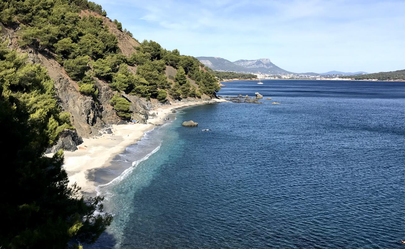 Foto af Plage du Saint-Selon med gråt sand og småsten overflade