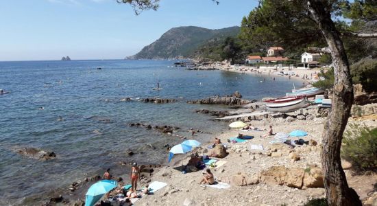 Plage de la Vernette