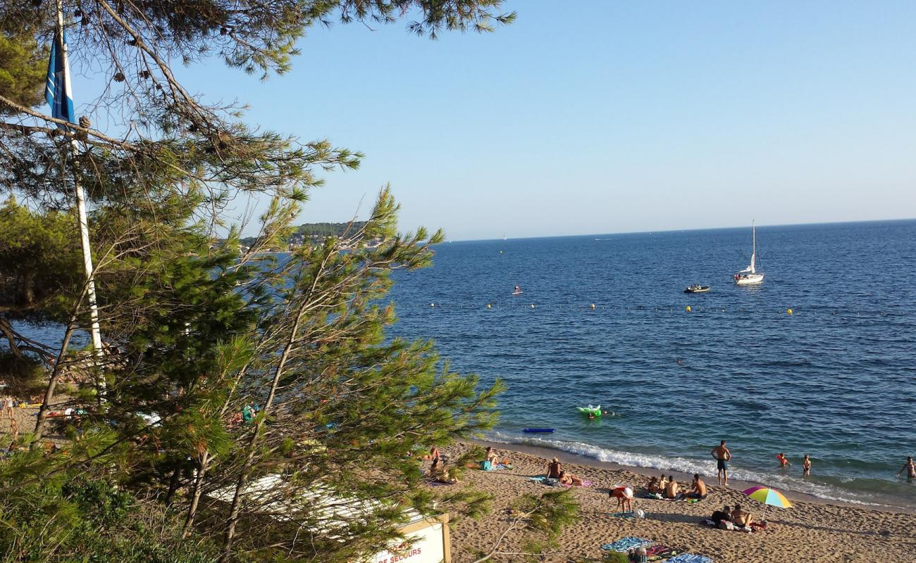 Foto af Plage du Monaco med brunt sand overflade