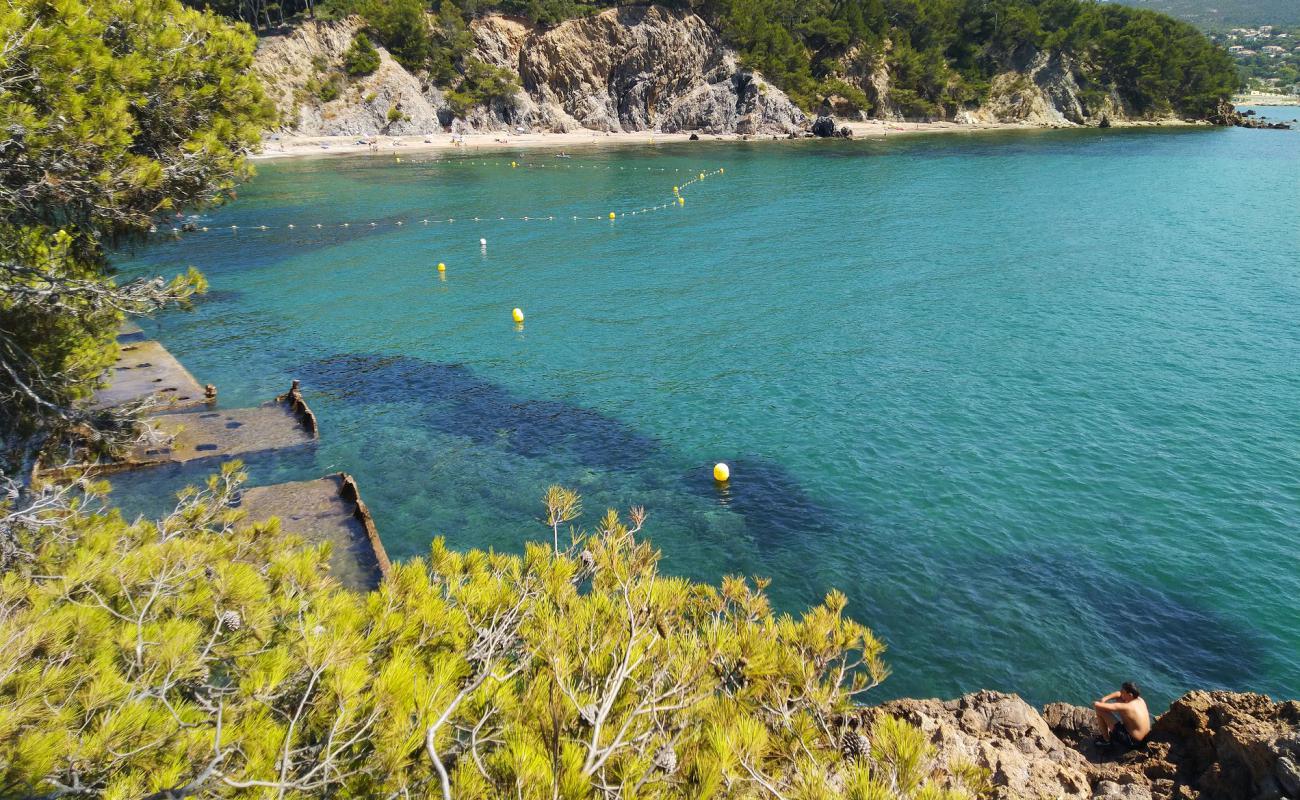 Foto af Plage des Bonnettes med brunt sand overflade