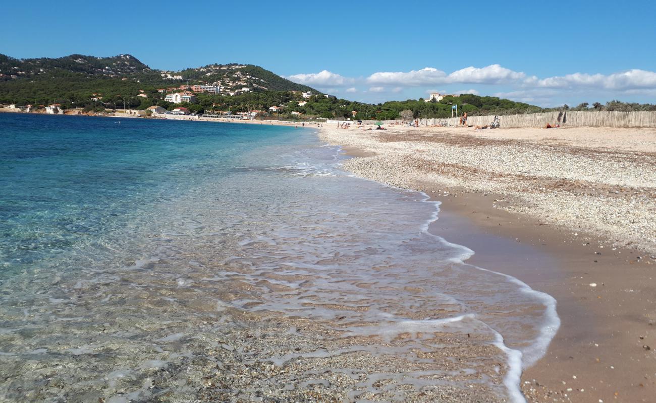 Foto af Almanarre Strand med let fin sten overflade