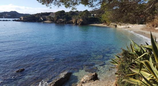 Plage du Pradeau