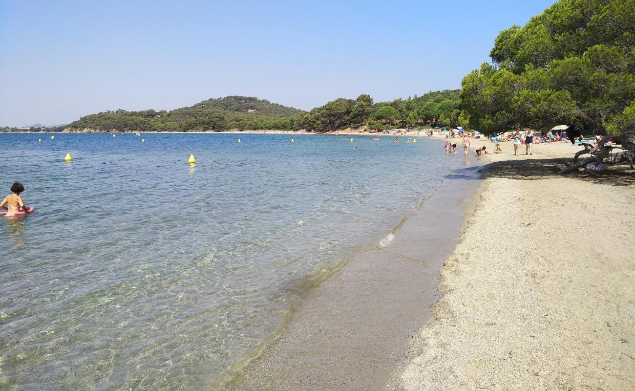 Foto af Pellegrin Strand med lys sand overflade